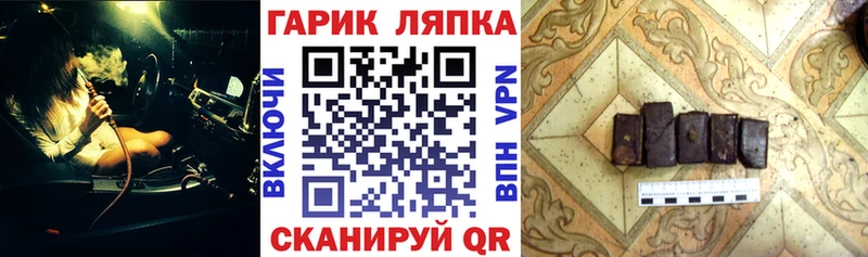 Купить закладки  Вытегра  Гашиш хэш 