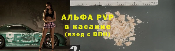 apvp Каменногорск