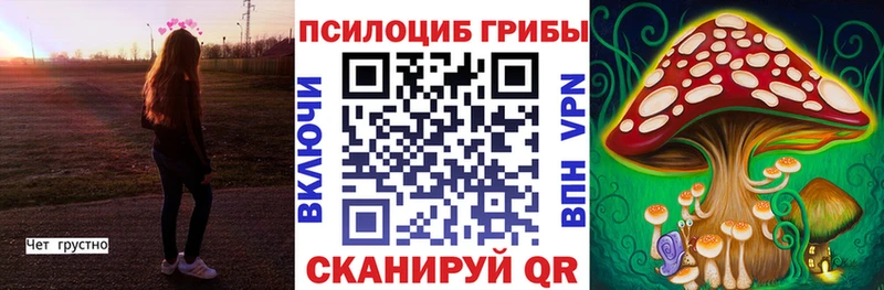 Купить закладки  Вытегра  Галлюциногенные грибы Psilocybe 
